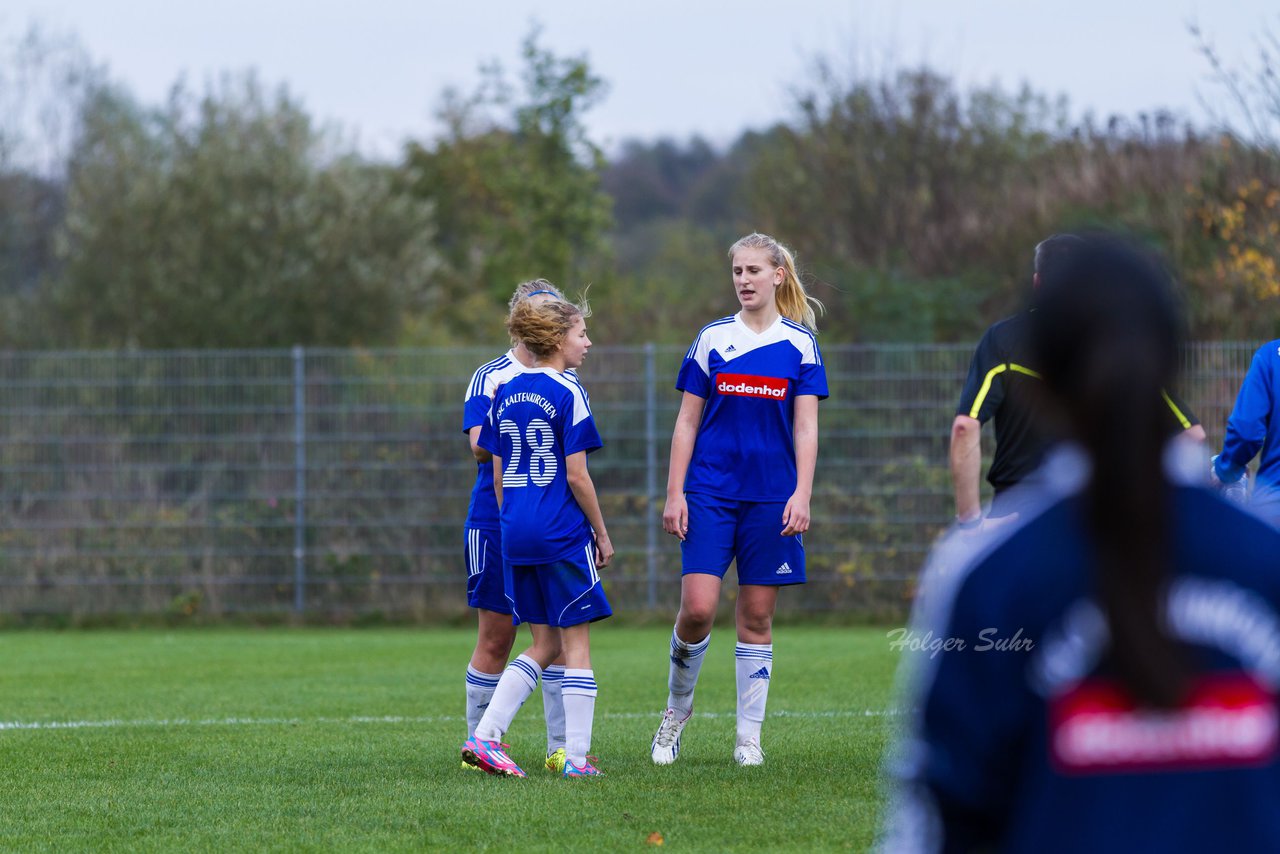 Bild 330 - Frauen FSC Kaltenkirchen - SG Wilstermarsch : Ergebnis: 0:2